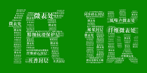 九游（中国）邀您共享低碳“盛宴”